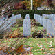 Illustration for article titled 2018 Remembrance Day at Mountain View Cemetery